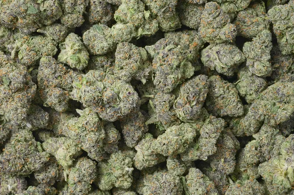 Oreoz x White Runtz