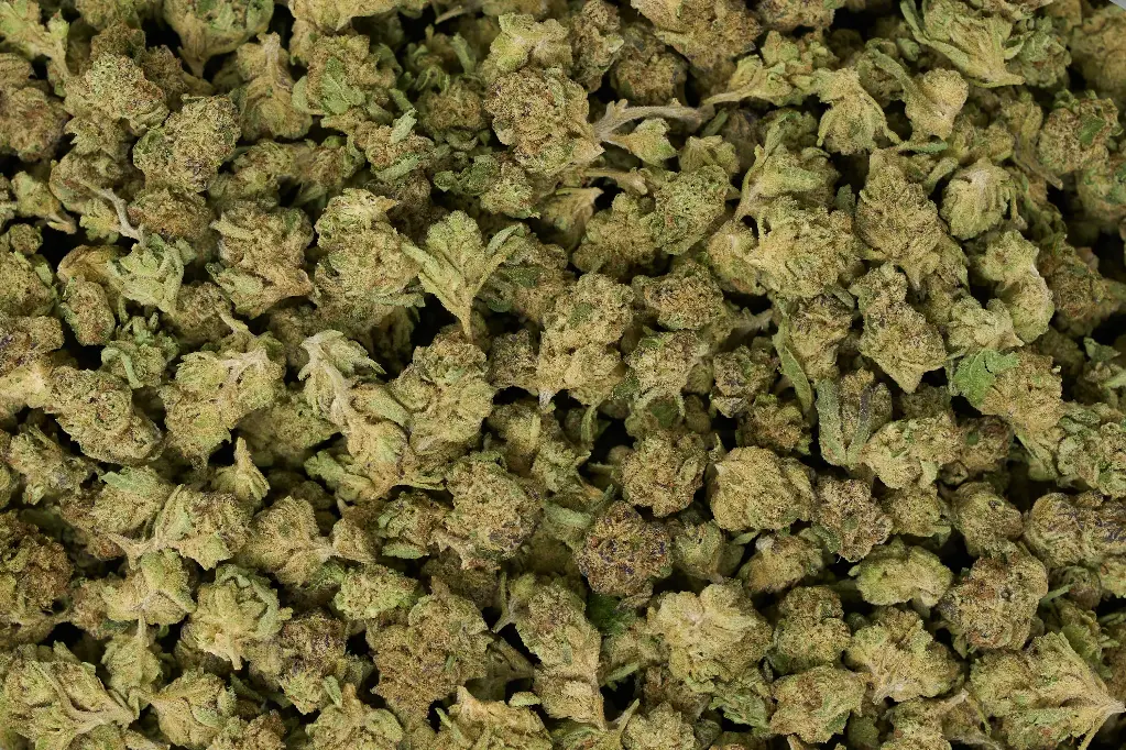 Pink Tuna Smalls