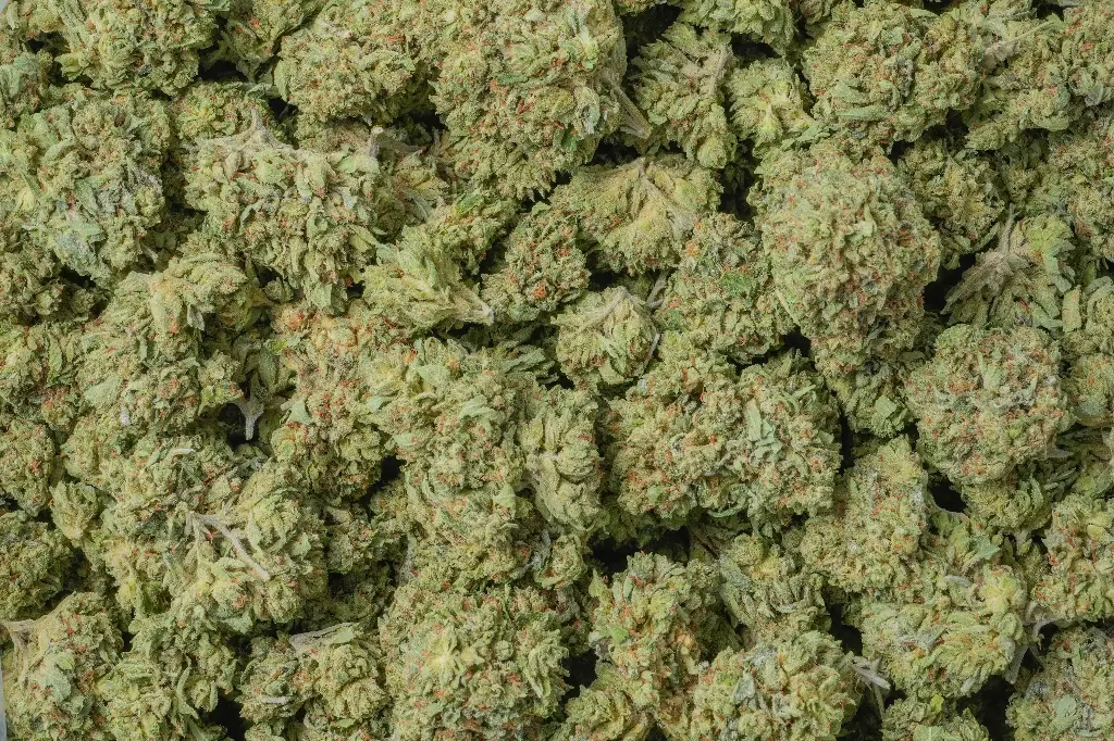 Pure Kush
