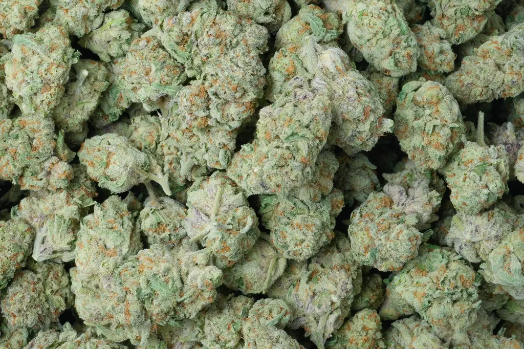 Purple Punch
