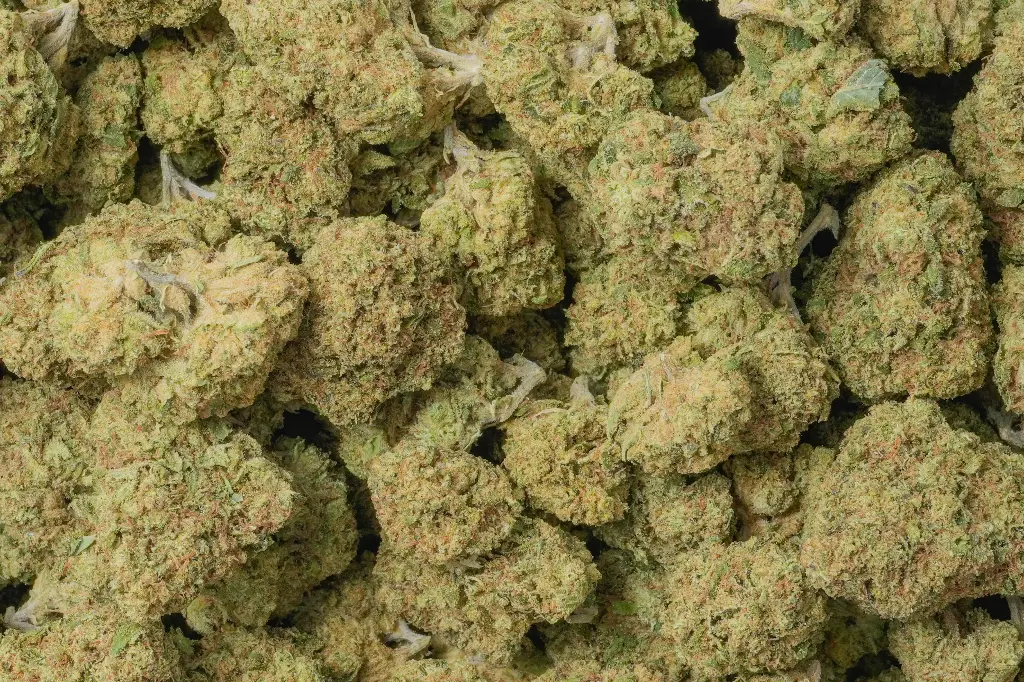 Sweet Island Skunk