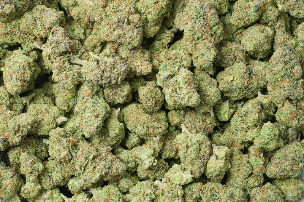 Triangle Kush
