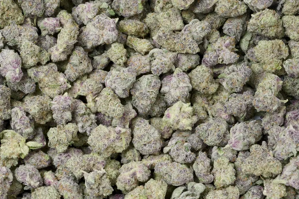 Tropicana Cherry Smalls