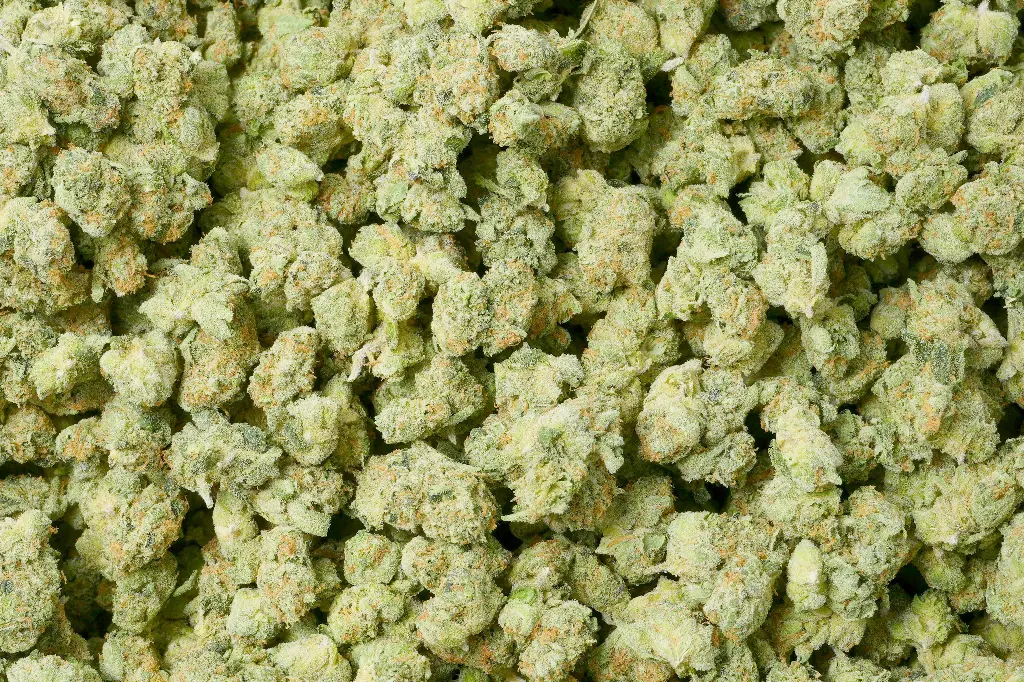 Apple Sherbet Smalls