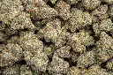 White Truffle