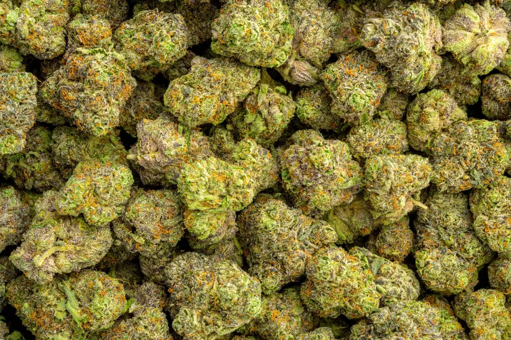 Amaretti Limon Runtz 