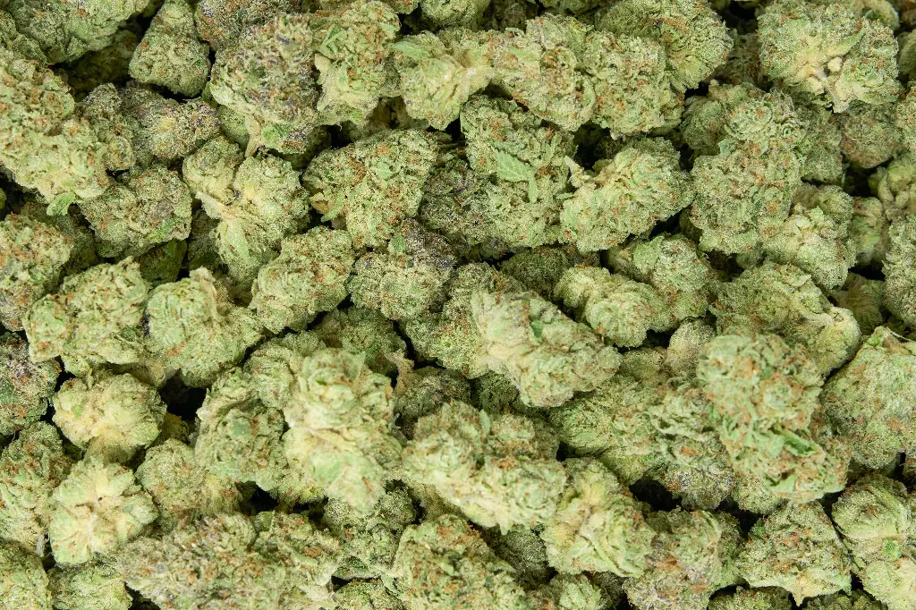 Amaretti Limon Runtz 