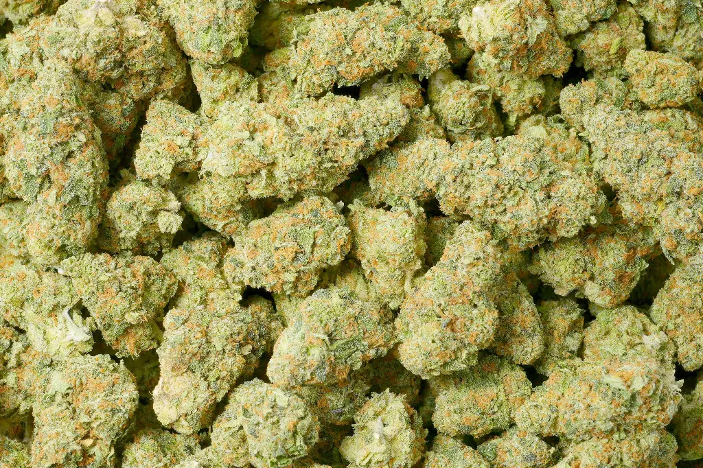 White Lemon 