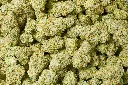 White Lemon 