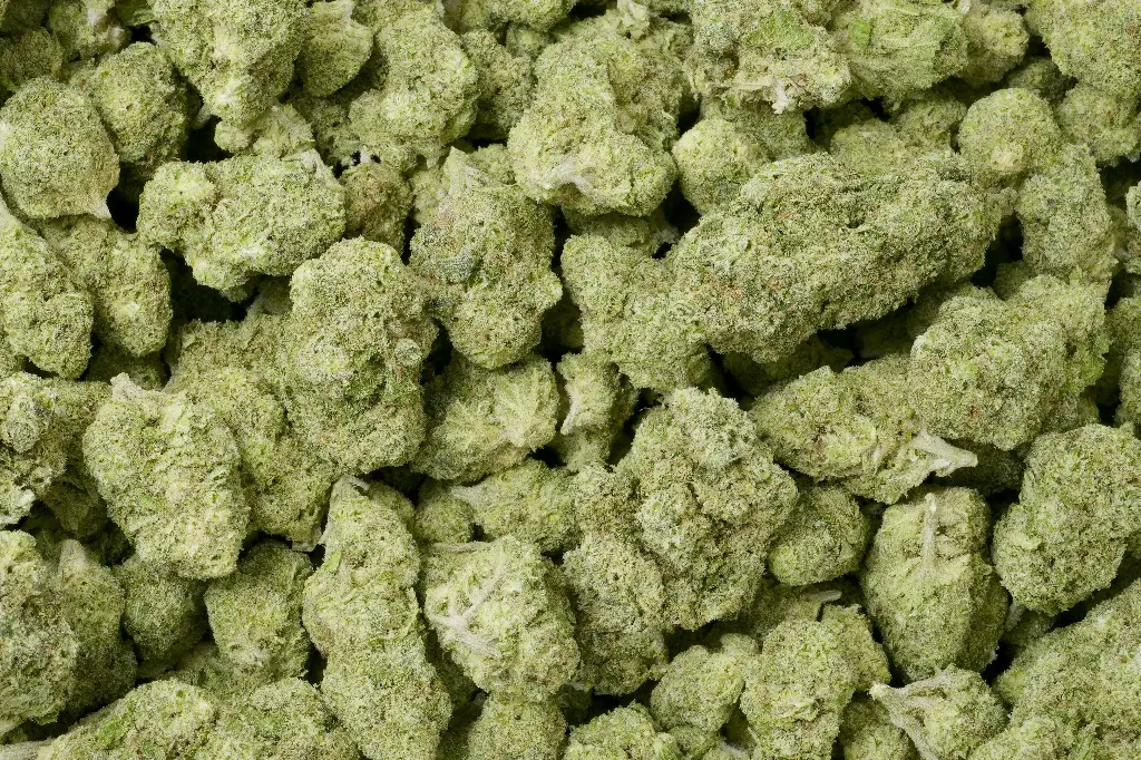 Sweet Melon