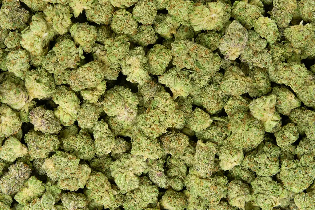 Amaretti Limon Runtz Mediums