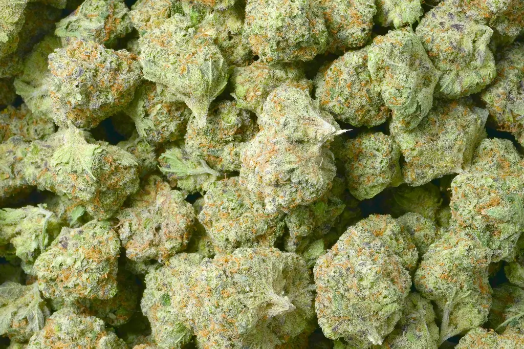 Blue Dream