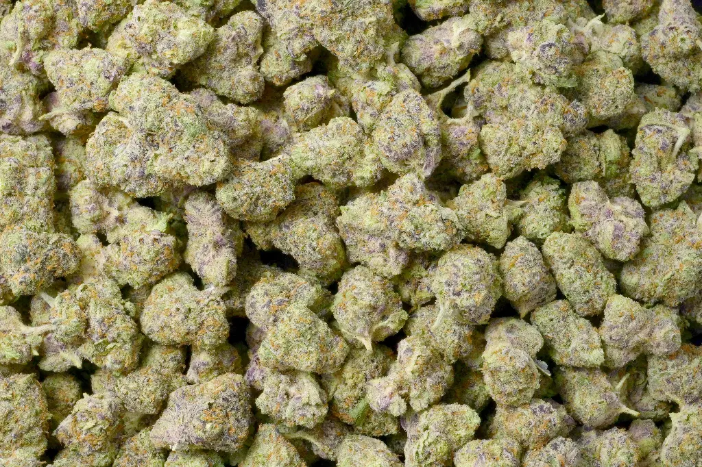 Purple Milk Mediums