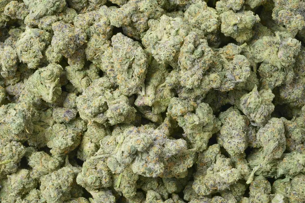 Jet Fuel
