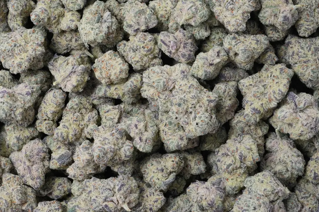 Lilac Diesel