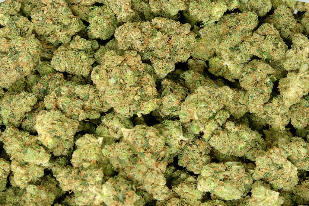 Cali-O
