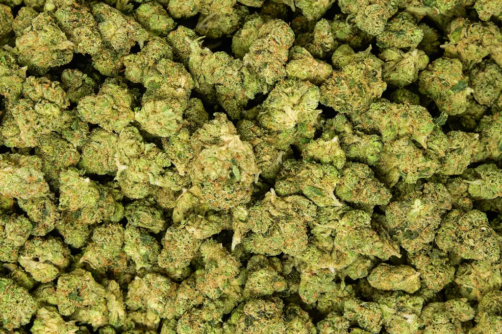 Cali-O Mediums