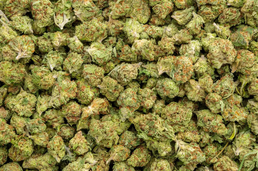 Bubblegum Horchata Smalls