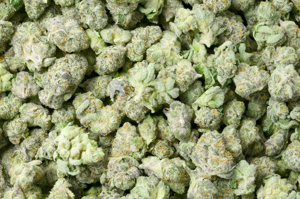 Cereal Milk Smalls