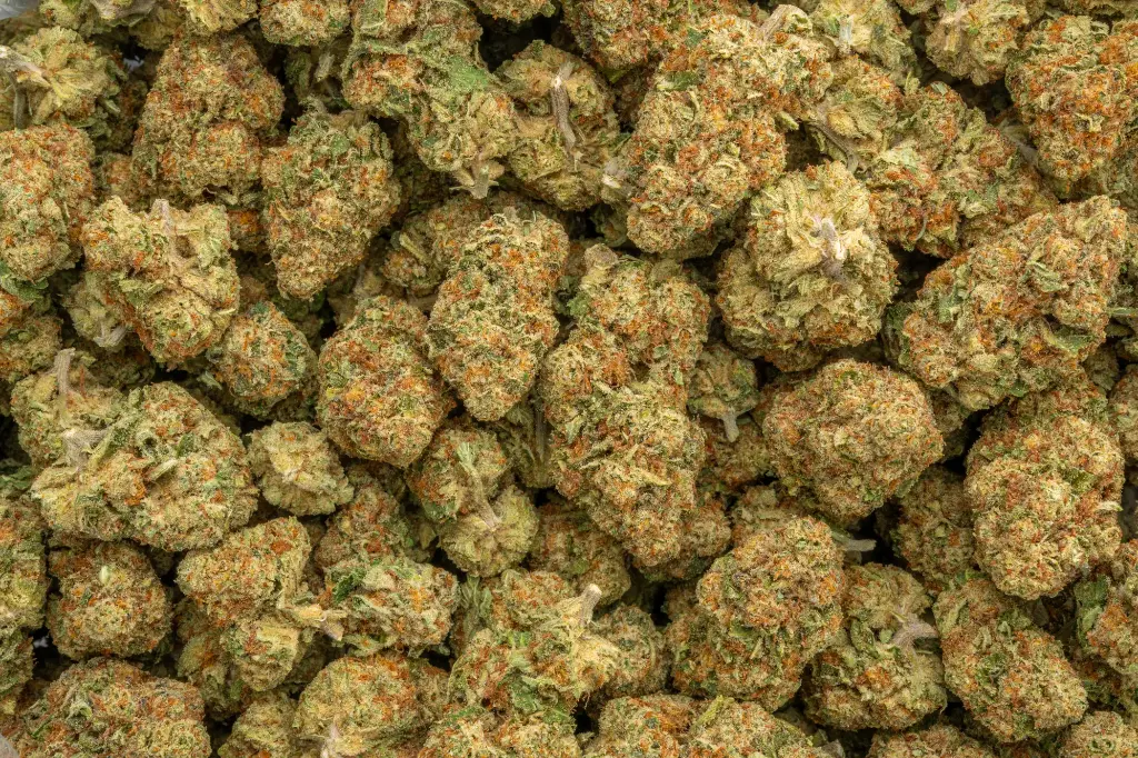Lemonatti