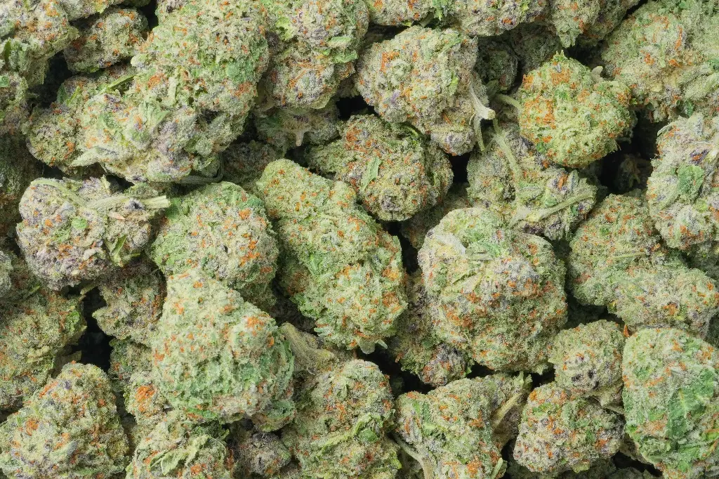 Sinmint Cookies 