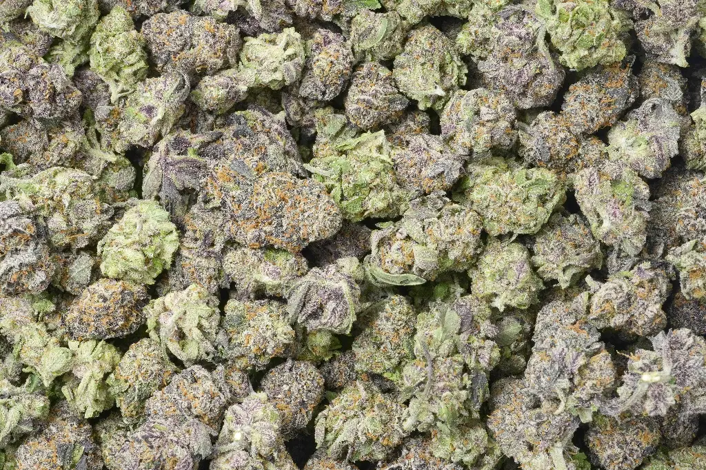 Shishkaberry