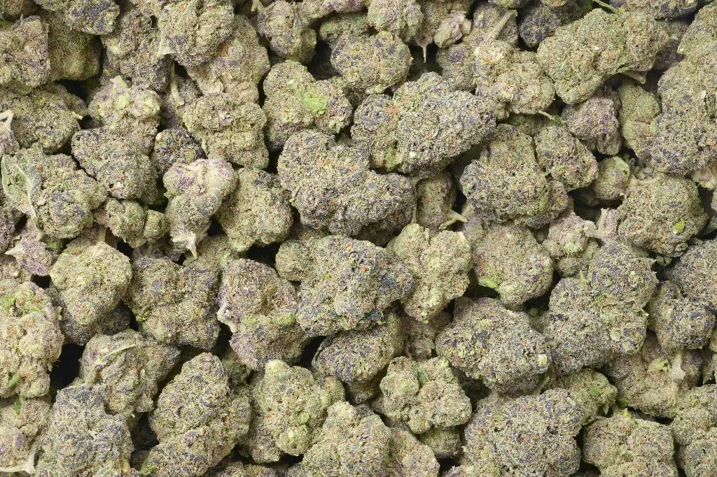 Purple Ice 