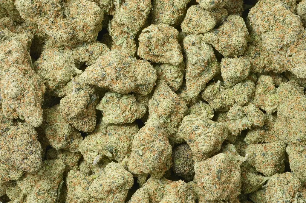 Platinum OG