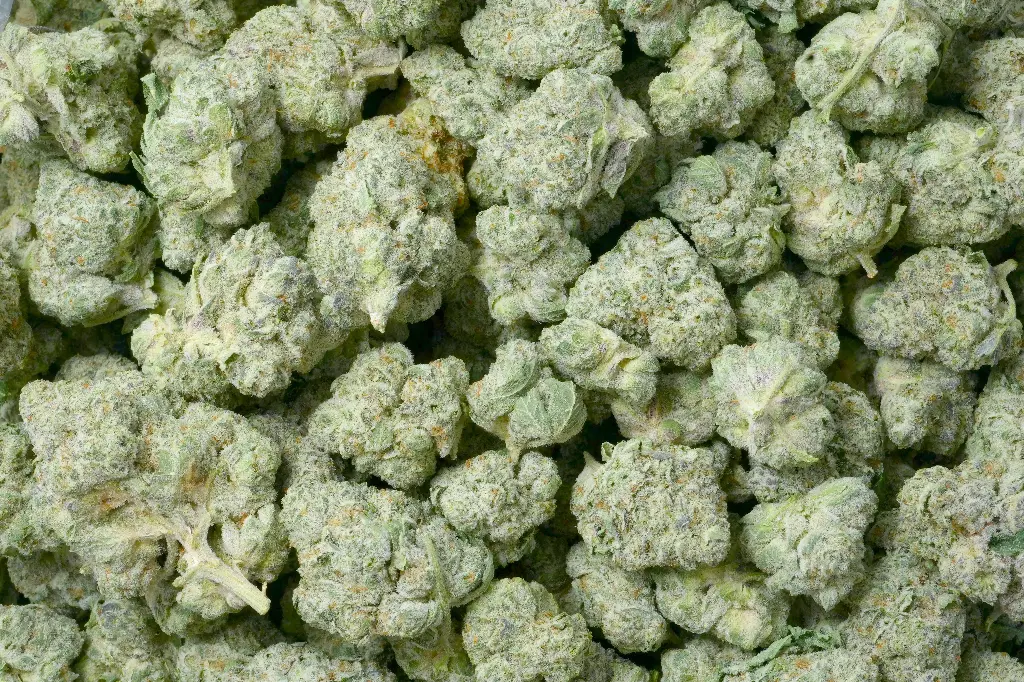 Grapescotti