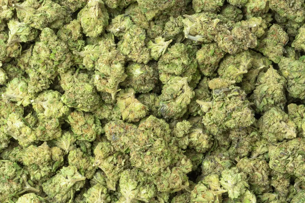 Hashburger 