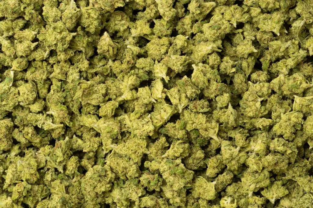 Lemon Zonkers Smalls