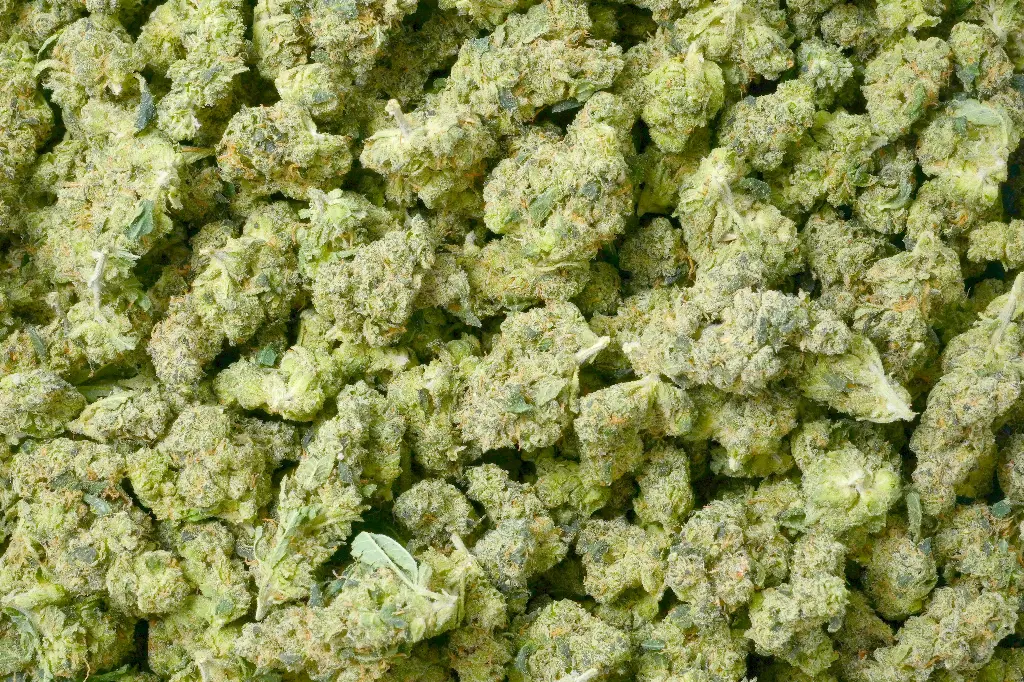Ghost Vapor OG Mediums