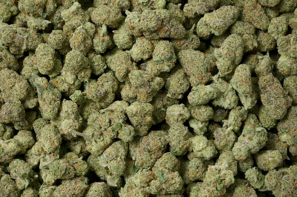 The Donald OG Mediums