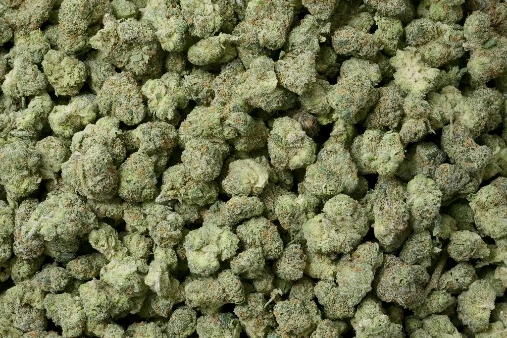 Caked Up Candy Mediums