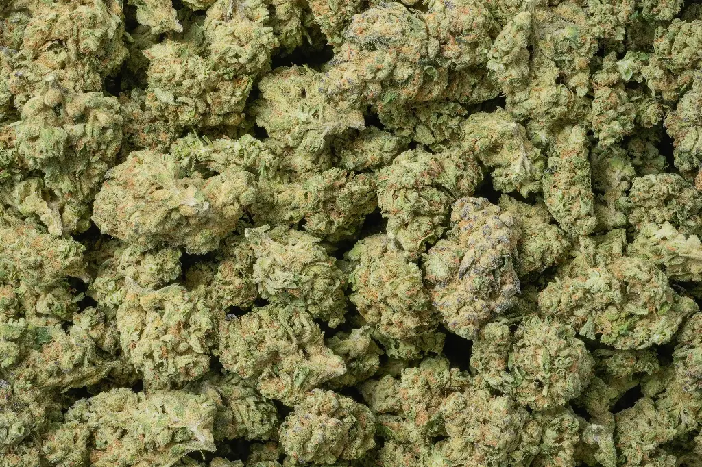 Original Glue 