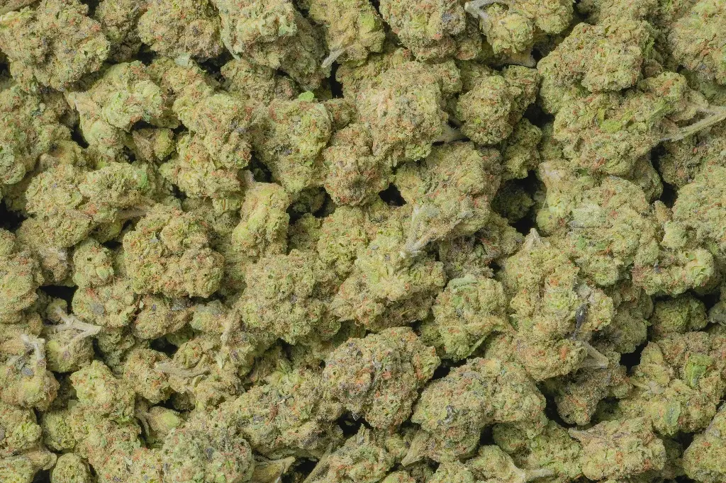 Falcon 9 OG