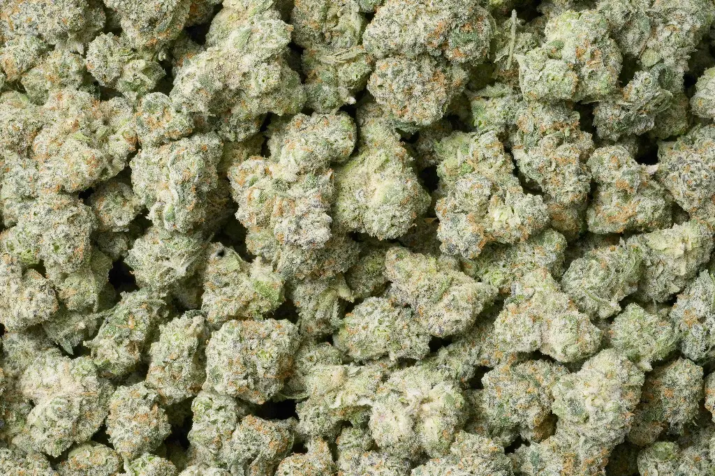 Lemonatti Mediums