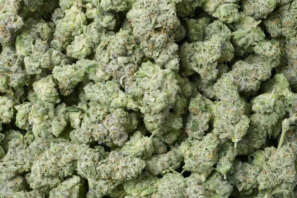Bananaconda Mediums