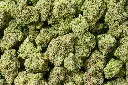 Goji OG