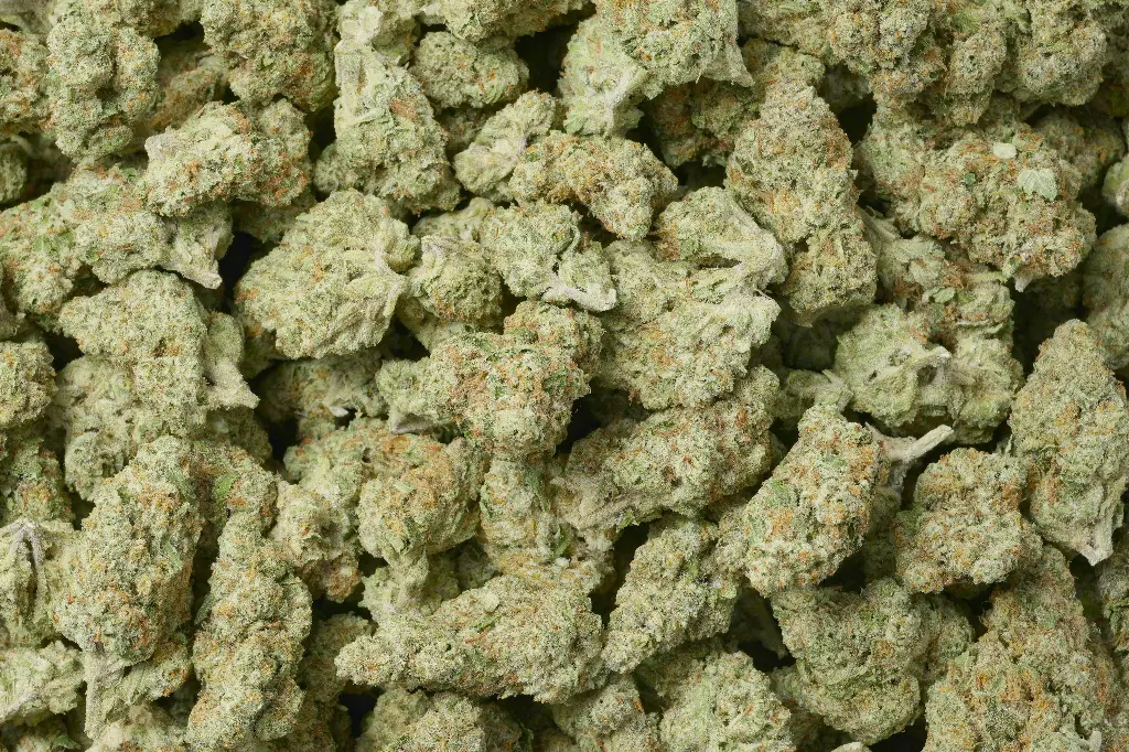 Blanco