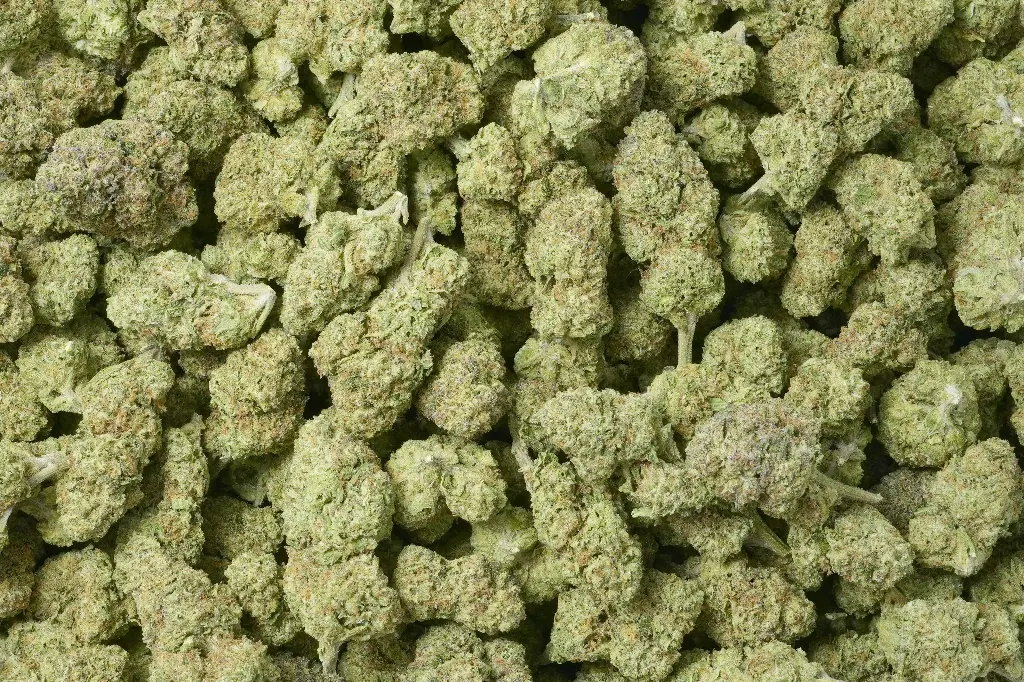 Garlic Budder