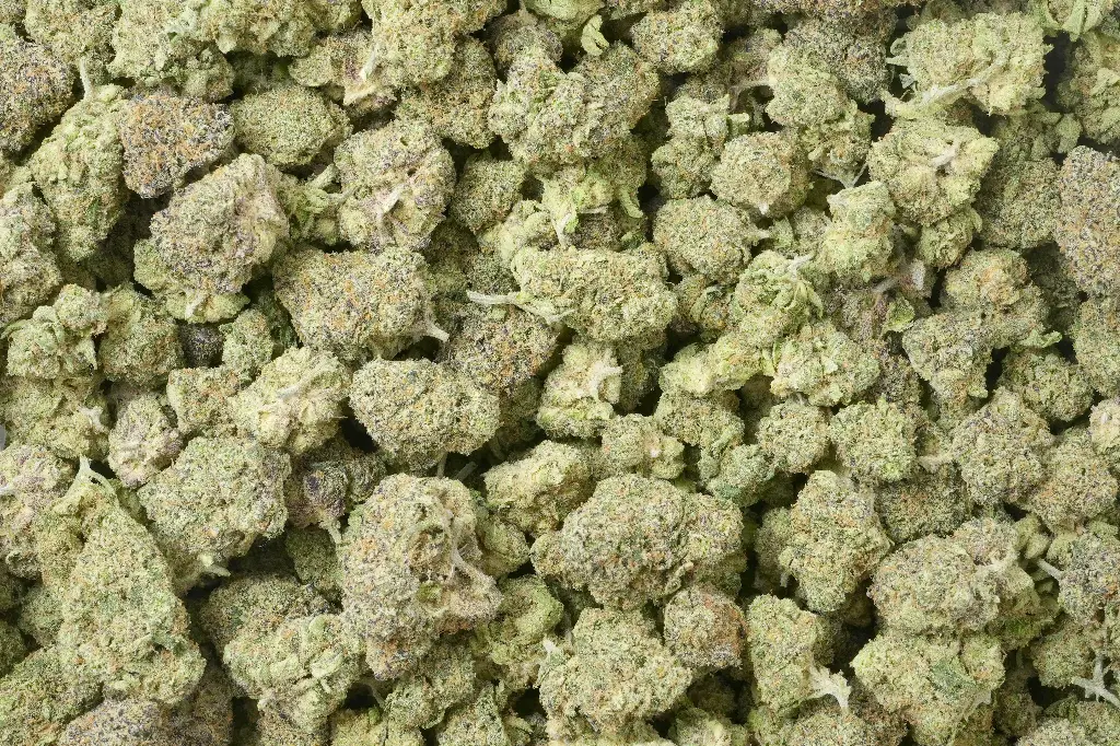 Purple Thai