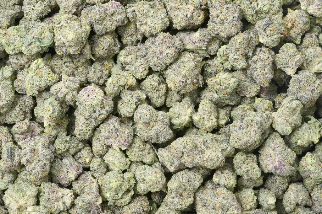 Slurricane