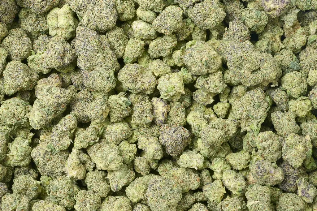 Grease Monkey