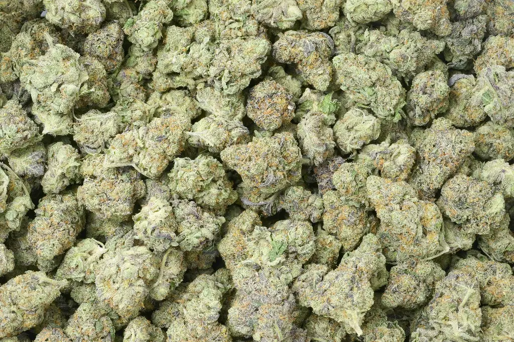 Caramellow Kush