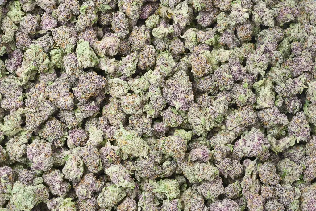Sapphire Scout Mediums