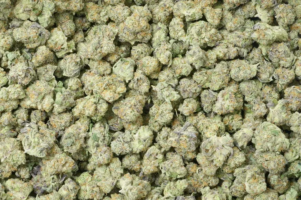 Caramellow Kush Mediums