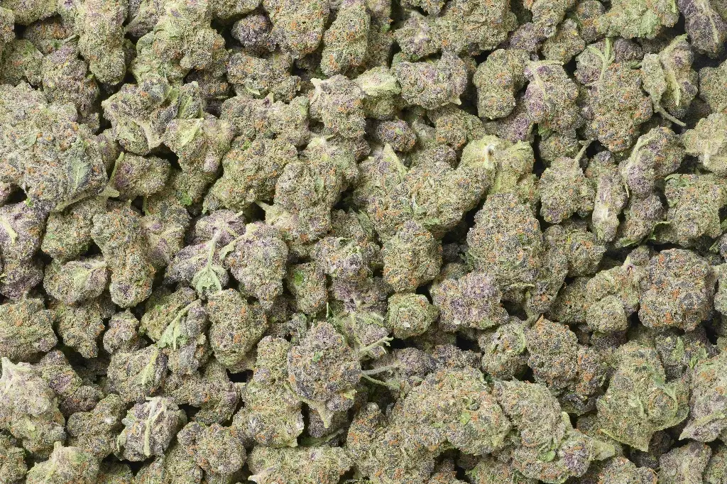 Black Cherry Soda