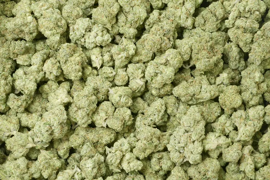 Triangle Sherbet