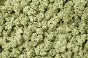 Triangle Sherbet